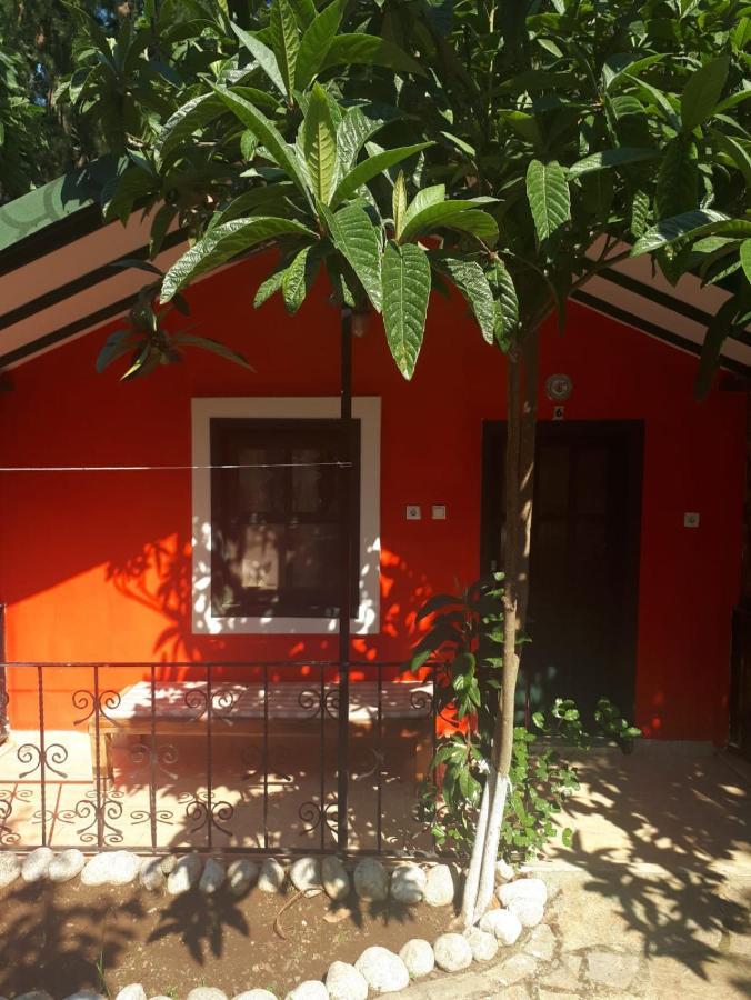 Hotel Likya Saklibahce Kemer  Zewnętrze zdjęcie